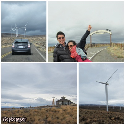 windfarm1